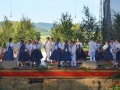 sfs (33)-001